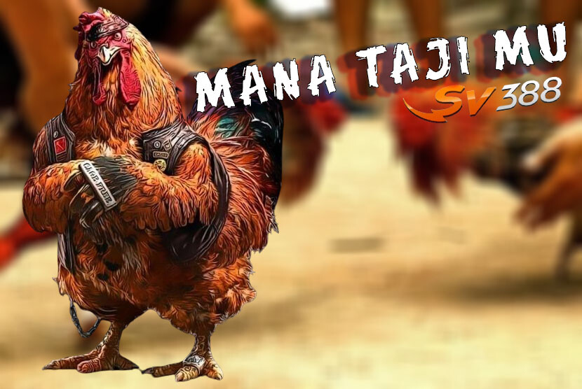 Cara Memenangkan Permainan Judi Online Sabung Ayam